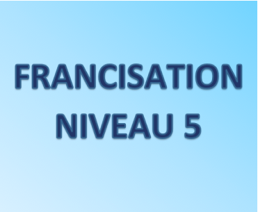 Niveau 5