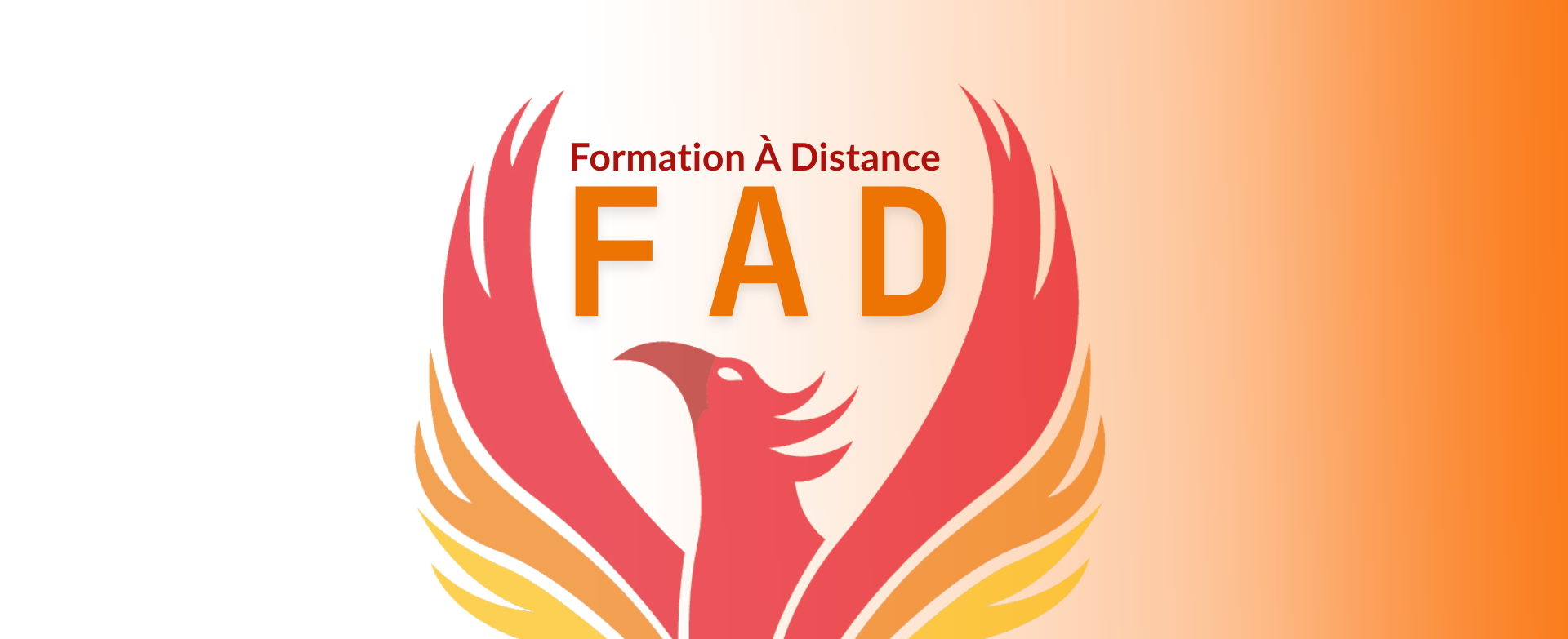 Accueil en formation à distance